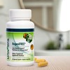 Univera RegeniFREE, All Natural Joint Supplement, Aloe Vera Turmeric, 60