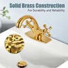 Aolemi Bathroom Sink Faucet Single Hole Cold and Hot Double