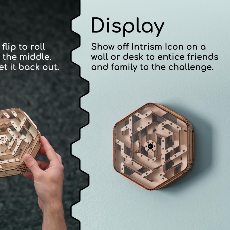 Intrism Icon - Brain Teaser Puzzle for Ages 10+ |