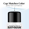 Rust-Oleum Low Odor Premium Spray Paint, 11 oz, Gloss Blackout,