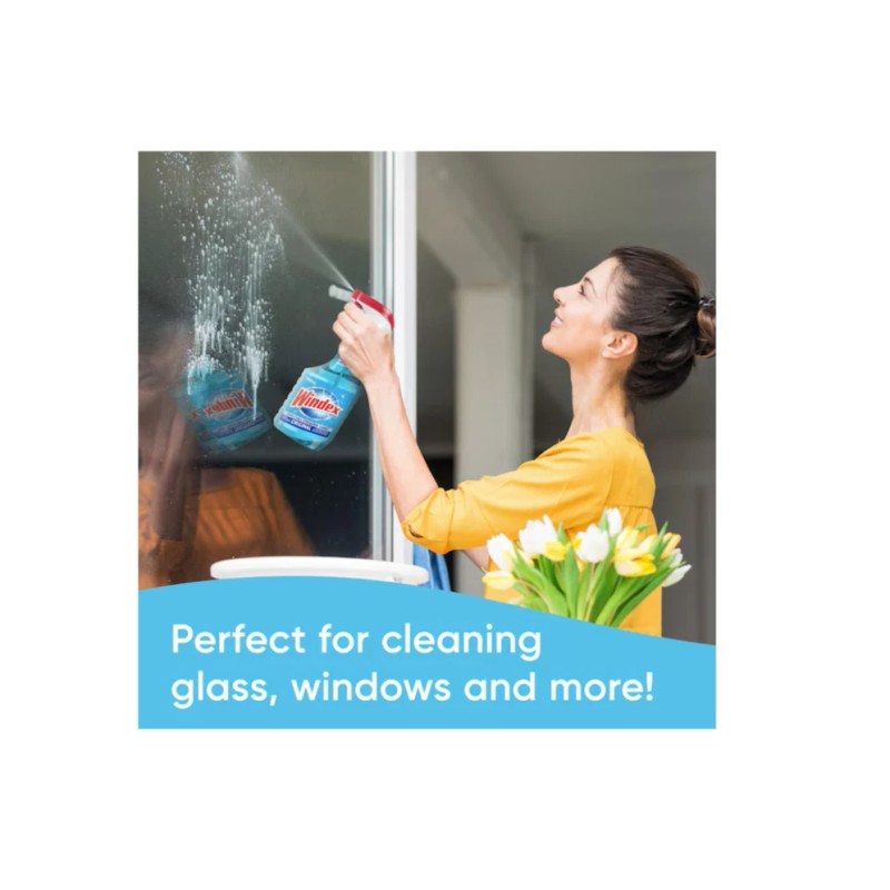 Windex Original 23-fl oz Pump Spray Glass Cleaner Window Cleaning
