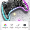 RGB Light Transparent Game Controller, Wired Game Controller for Switch,