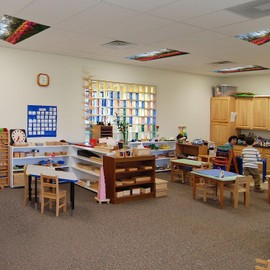 4 Pack Fluorescent Light Covers Magnetic Light Cover Fluorescent Light Eliminate Harsh Glare That Causing Eyestrain and Head Strain Light Filters for Office Classroom Home,4 x 2 Ft (Tulip)