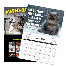 AKONE Pissed Off Cats Calendar 2025, Funny Wall Calendar 2025, 12 Month Calendar 2025, Pissed Off Cats Cat Pattern Calendar, 2025 Multi-Purpose Wall Calendar for Planning for Cat Lovers