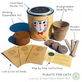 Cat Friendly Plants Luxury Grow Kit, The Plant Gift Co. Purrrfect Treat, Gardening Gift; Catnip, Catmint and Cat Grass.
