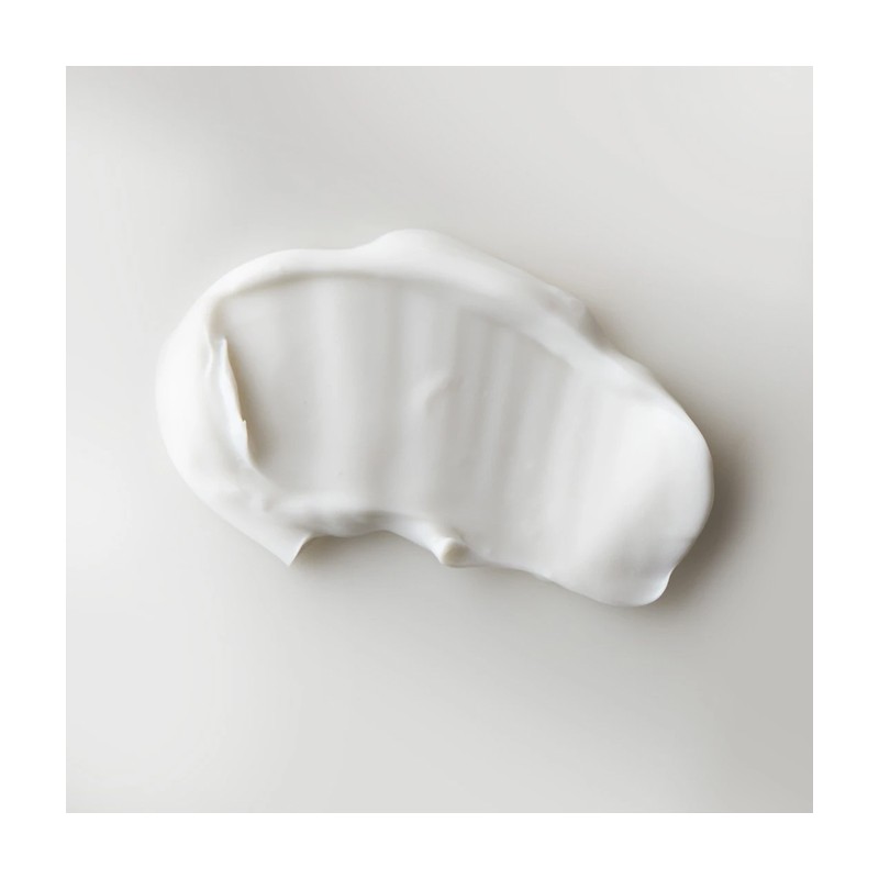 BioElements Absolute Moisture Cream 73ml / 바이오엘리먼츠 앱솔루트 모이스처 크림