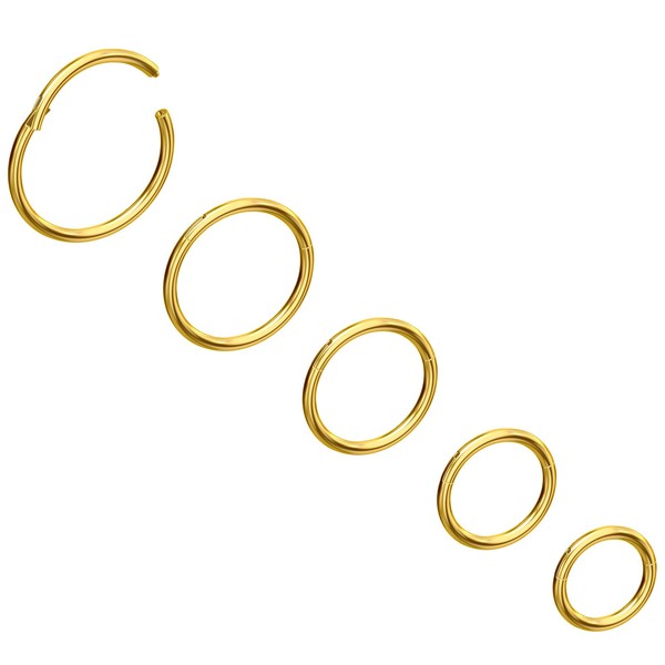 NORO OLO Titanium 5PCS-20G(0.8mm) Gold Hinged Clicker Nose Ring Hypoallergenic