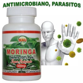 Medicina Alternativa USA (Mauvida) MORINGA EXTRACTO PURO 100% natural (el árbol de la Vida)