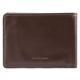 Big Skinny Men's Compact Sports Leather Bi-Fold Slim Wallet, Holds Up to 20 Cards, Brown