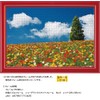 1000 Piece Jigsaw Puzzle Colorful Walk (Hyogo) Compact Piece (10.2