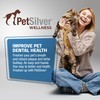 PetSilver Teeth & Gum Spray - Dog Dental & Teeth