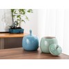 Amoysanli Kitchen Canisters Vintage Ceramic Food Storage Jar with Airtight