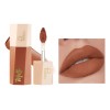 Set De Pintalabios Pudaier Velvet | 14 Tonos Mate W