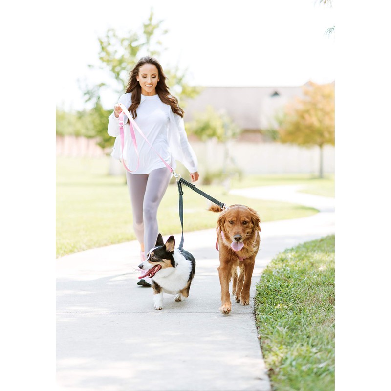 Cajun Tie Downs Reflective - Double Dog Leash - No