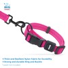 Best Pet Supplies Voyager Reflective Dog Leash or Collar with