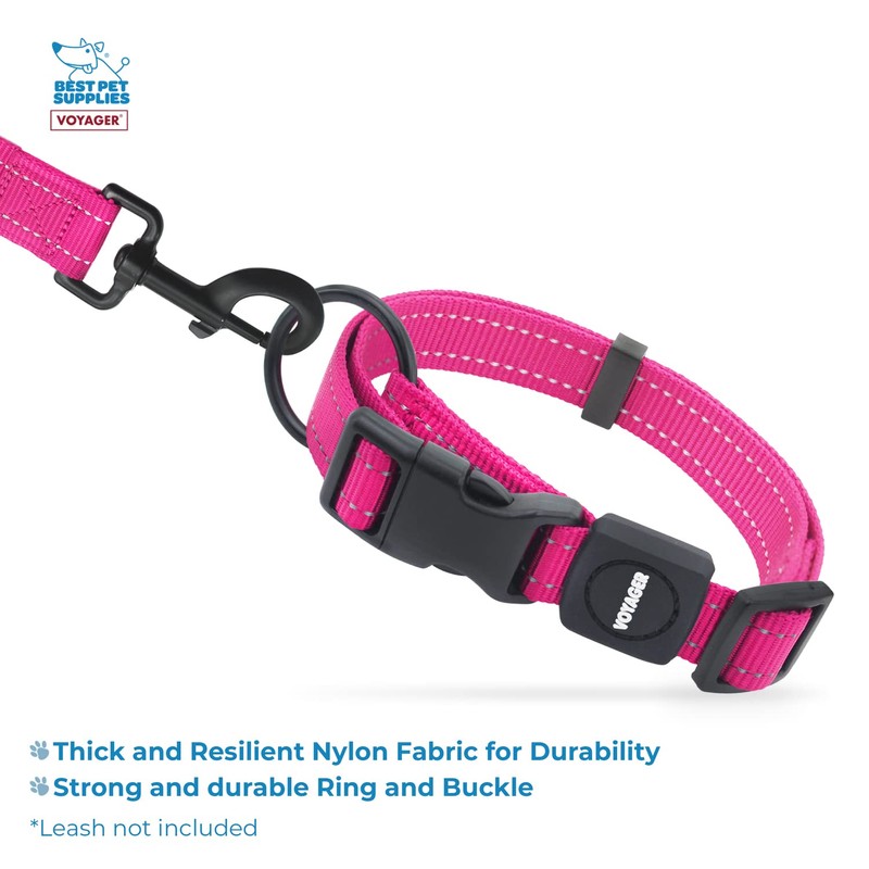 Best Pet Supplies Voyager Reflective Dog Leash or Collar with