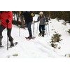 Yukon Charlies Advanced Spin Snowshoe