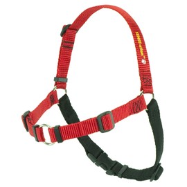 SENSE-ation No-Pull Dog Harness - Red with Black Small by Softouch
