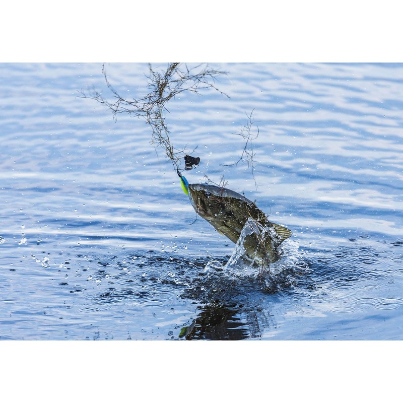Buckeye Lures G-Buzz Bait 1/4 OZ. / Black W/Black Blade