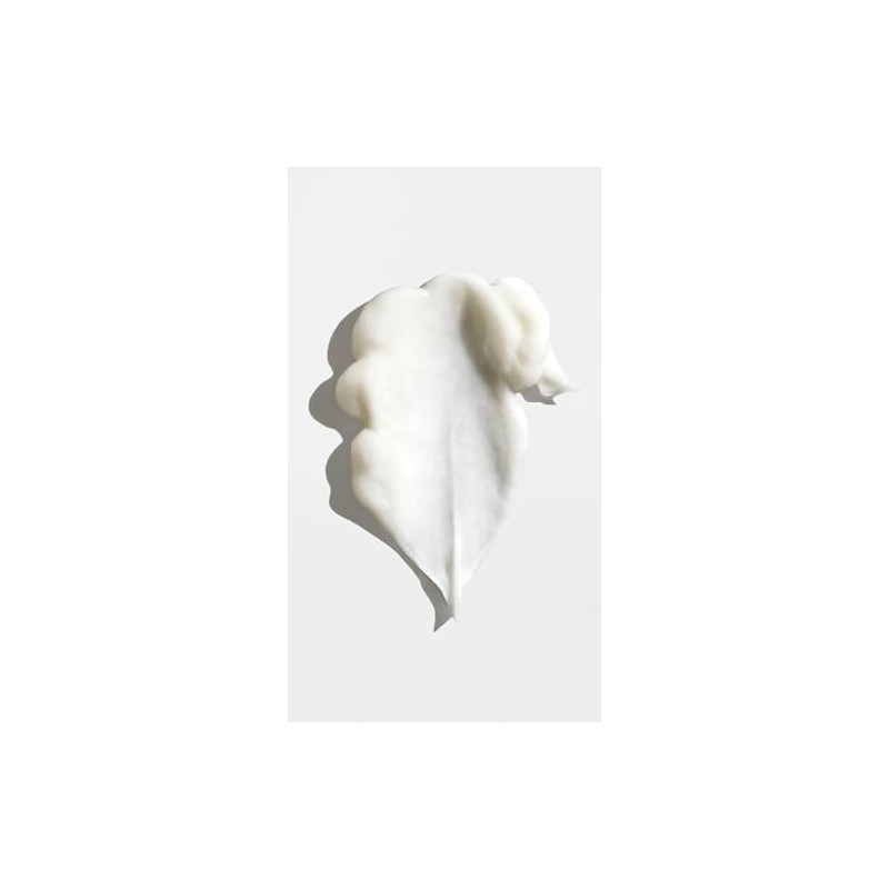 Oribe Signature Conditioner, 6.8 oz
