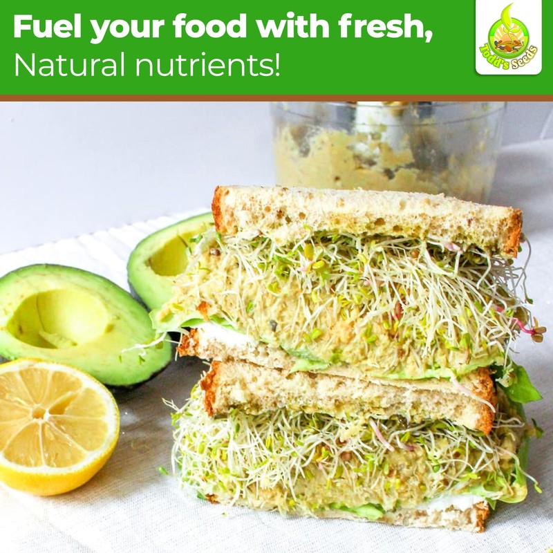 Todd’s Seeds - Calabrese Broccoli Sprouting Seeds, 1 lb -