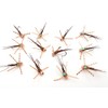 Rubberleg Pheasant Tail Nymph (12 Flies)