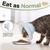 Supet Cat Cone Collar Soft: Comfortable Waterproof Mesh Recovery Cone