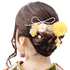 Coming-of-age Ceremony, Hair Ornament, Dried Flower, Dahlia, Hydrangea, Graduation Ceremony, Artificial Flower Decoration, Cute, Hair Accessory, Mizuhiki, Head Part, Furisode, Front Photography,