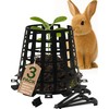 Plant Knight Tree Sapling Protector – Plant Cages to Keep