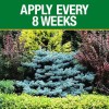 Vigoro Tree, Shrub & Evergreen Fertilizer 16-4-8 - 3.5 lb.