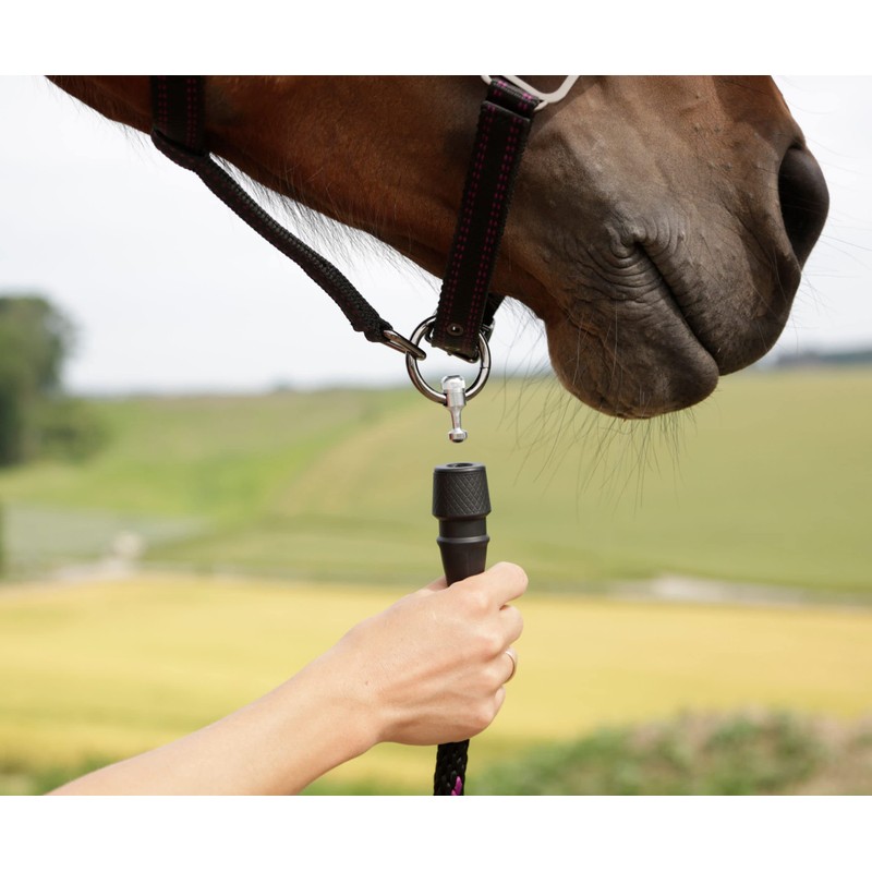 Horse Headcollar for Goleygo System Black/Fuchsia Foal