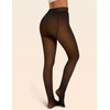 Tournesol Plus Size Women's Fleece Lined Tights Fake Translucent Warm