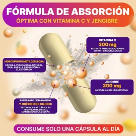 Suplemento De Vitamina C 300 Mg Con Jengibre 90 Cápsulas Sabor Sin sabor