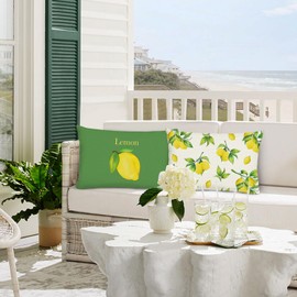 Bonhause Summer Lemon Cushion Covers 30 x 50 cm Yellow Fruits Green Decorative Throw Pillow Covers for Sofa Couch Bed Patio Garden Outdoor Decor Set of 2