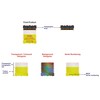 Security Seal Certificate of Authenticity Hologram Tamperproof Labels/Stickers X 500