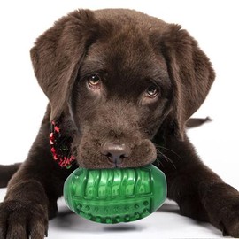 Bonita Pet Dog Chew Toy - for Aggressive Chewer Indestructible Interactive Boredom Training Promotes Dental Health & Clean Teeth Relieves Anxiety Stress, Green