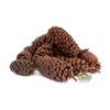 NewCal Alder Cones - 1oz