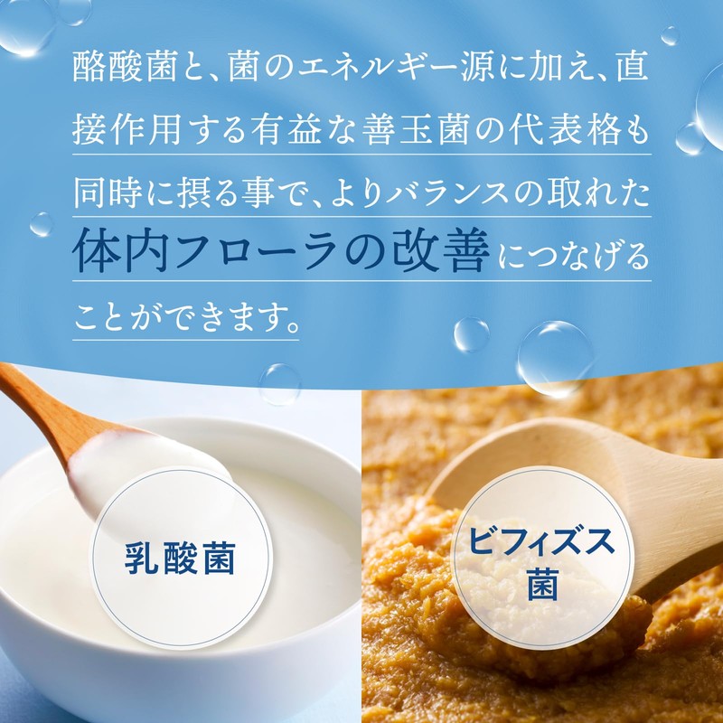 Lactic Acid Bacteria Premium (2.7 Billion Types of Raw Lactobacillus