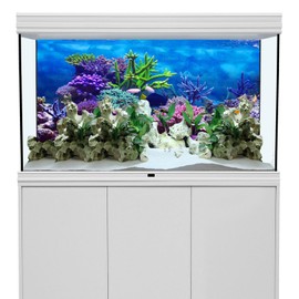 AWERT 48x18 inches Vinyl Underwater Theme Aquarium Background Colorful Coral Tropical Fish Undersea World Fish Tank Background