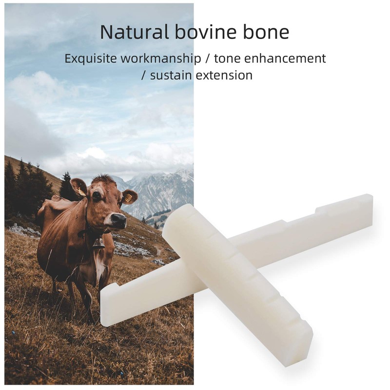 Irich True Bone Bridge Saddle and Nut with 2Pcs Sand