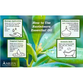 Amrita Aromatherapy Ravintsara (Cinnamomum camphora) Essential Oil, 100% Pure Undiluted Cinnamomum Camphora, Premium Aromatherapy Oil, Tested and Verified, USDA Organic, 10ml