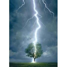 Eurographics Lighting Striking Tree 1000-Piece Puzzle