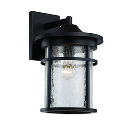 Trans Globe Lighting 40382 BK Outdoor Avalon 17.75" Wall Lantern, Black