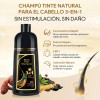 Bobo Shampoo Con Tinte Cubre Canas Natural Jengibre