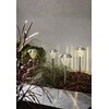 Best Season Solar Lighting, Palma, Silver, 12 x 28 x
