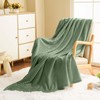 Vessia Flannel Fleece Throw Blanket for Couch,Sofa,Bed, 300GSM Microfiber Sage