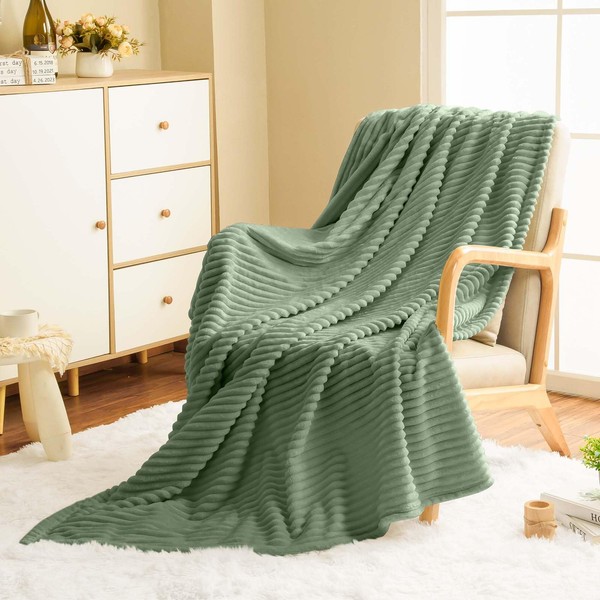 Vessia Flannel Fleece Throw Blanket for Couch,Sofa,Bed, 300GSM Microfiber Sage