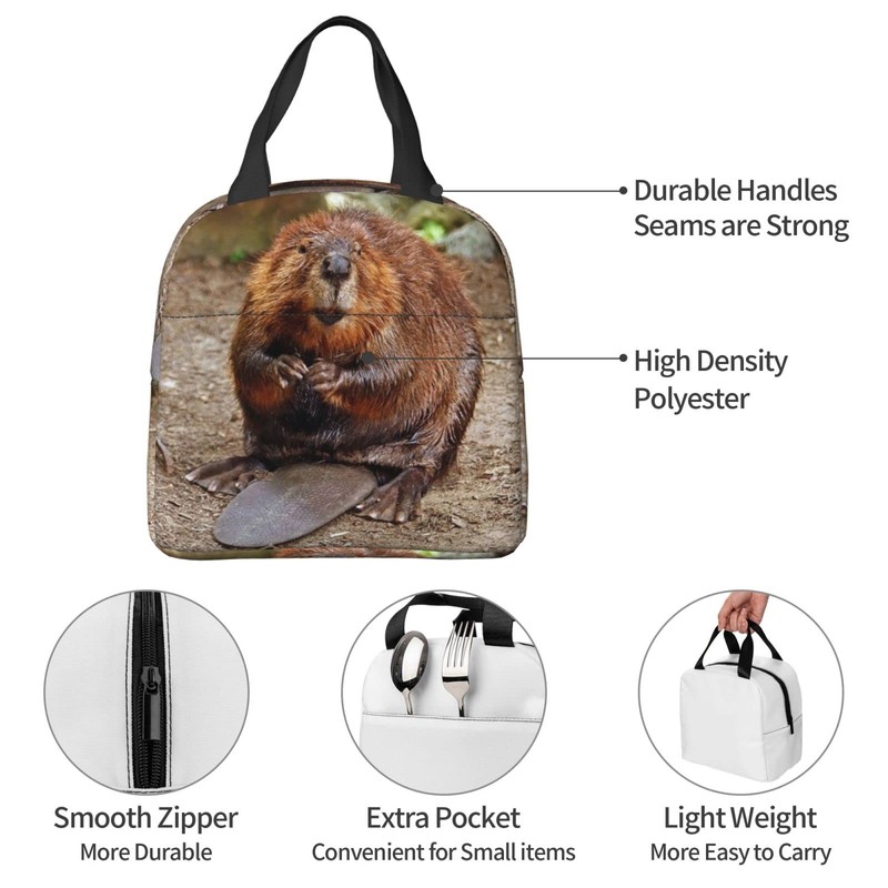 Larklitz Cute Funny Beaver Reusable Insulated Lunch Bag, 8.5in x
