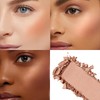 FV Premium Blush, Long Lasting & Light Feel, Silky Soft