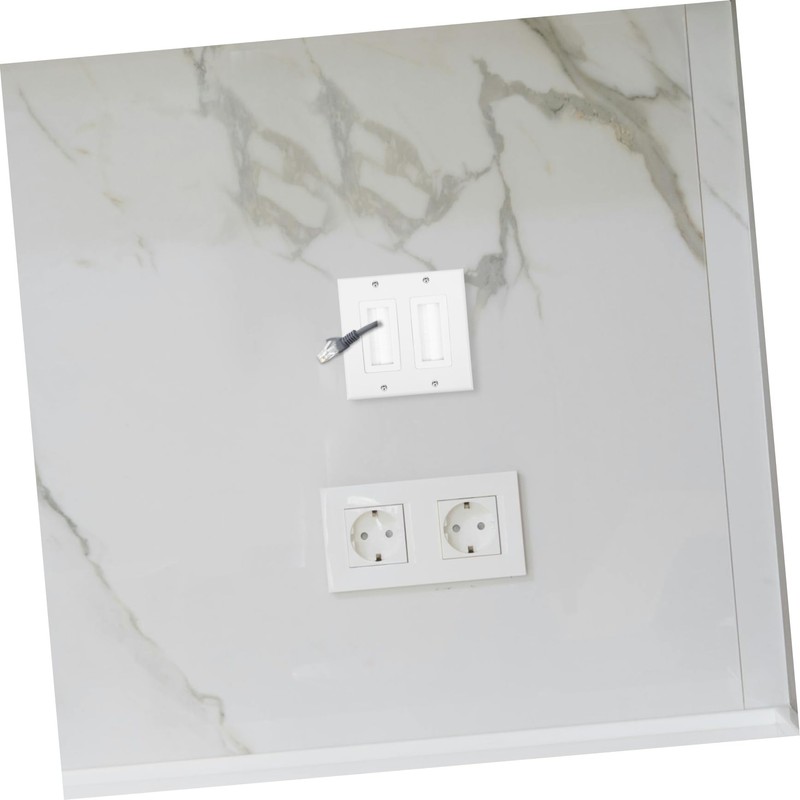 COHEALI Dual Port Brush Wall Plate Insert for Cable Management